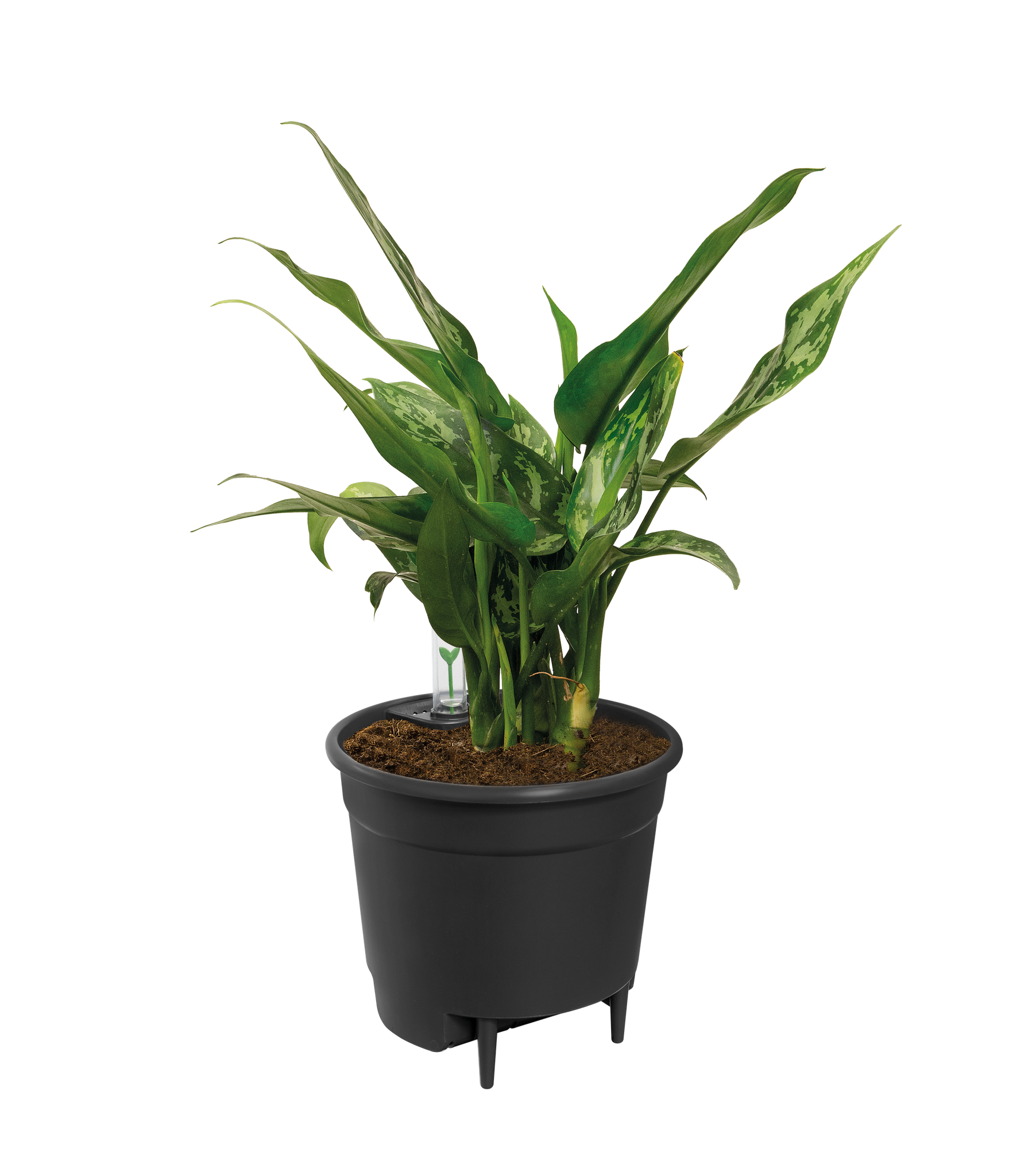 Self Watering Insert - 24 cm